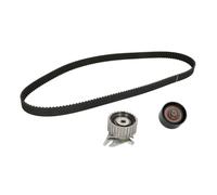Kit distribution Schaeffler INA 530 0223 10