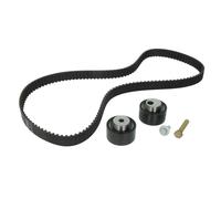 Kit distribution Schaeffler INA 530 0235 10