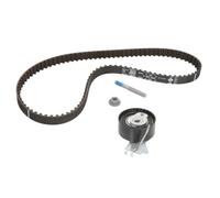 Kit distribution Schaeffler INA 530 0334 10