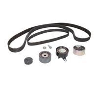 Kit distribution Schaeffler INA 530 0416 10