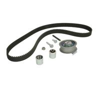 Kit distribution Schaeffler INA 530 0445 10