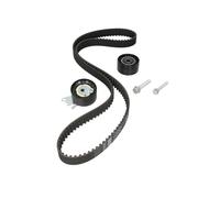 INA - Kit de courroie de distribution 530 0471 10 pour Peugeot, Citroën