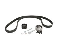 Kit distribution Schaeffler INA 530 0562 10