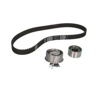 INA Kit de courroie de distribution 530 0576 10 pour Hyundai et Kia