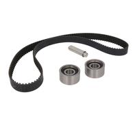 Kit distribution Schaeffler INA 530 0602 10
