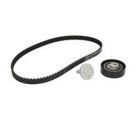 INA Kit de courroie de distribution 530 0604 10 pour Dacia Renault