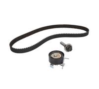 Kit distribution Schaeffler INA 530 0605 10