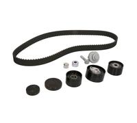 Kit distribution Schaeffler INA 530 0637 10