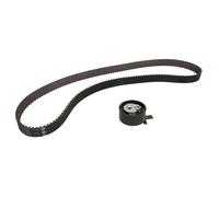 Kit distribution Schaeffler INA 530 0651 10