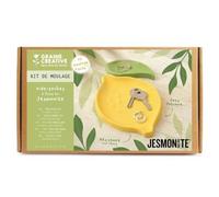 Kit jesmonite vide poches citron