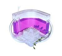 Kit D'Observation De La Fourmilière - Château De La Ferme Des Fourmis | Kit Habitat Fourmi, Kit Observation Nid Fourmi, Nid Fourmi Avec Tube De Liaison Et Gel Translucide, Pratique Jouatt