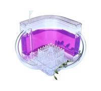 Kit d'observation des Fourmis pour Enfant, Ferme Nid Habitat Fourmis avec écosystème de Gel, Jouet d'apprentissage Sciences Naturelles pour Enfant, Garçons, Filles et Adultes