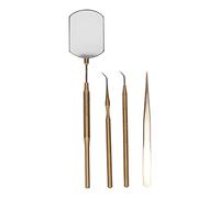 Kit d'outils d'art de cils, ensemble d'outils d'extension de cils professionnels, miroir d'inspection rotatif en acier inoxydable avec pince à épiler et bâtons de ramassage, (Or)