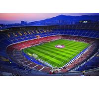 Kit d'outils de peinture diamant 5D pour adulte - Kit complet de peinture diamant - Stade de football de Barcelone - Kit complet de peinture artistique - Décoration murale - 40 x 50 cm