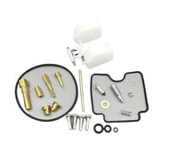 Kit d'outils réglage carburatters Kit Réparation Joint Soupape Diaphragme Carburateur pour Raptor 350 YFM350R 2004-2013 Ensemble D'outils Reconstruction(Couleur1)