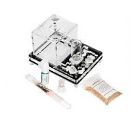 Kit éducatif de fourmis Anthouse avec reine incluse - Fourmilière acrylique professionnelle 10 x 12 x 1,3 cm pour enfants et débutants | Ferme de fourmis pour observation et apprentissage