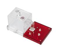 Kit éducatif de fourmis Anthouse avec reine incluse - Fourmilière acrylique professionnelle 10 x 20 x 1,3 cm pour enfants et débutants | Ferme de fourmis pour observation et apprentissage