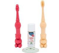 Kit éducatif poussée dentaire