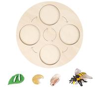 Kit éducatif sur Le Cycle de Vie des Insectes, Figurines Réalistes pour Enfants, Outils Pédagogiques pour étudiants, Plateau en Bois, Jouet pour Projet Scolaire, Cadeau Parfait pour Les