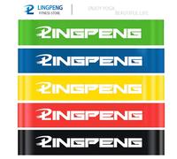 Kit Élastique Musculation Fitness Guide Exercices 5x Bandes De Résistance Tubes Professionnels Elastique Musculation Bande Elastique Fitness De Résistance Tubes D'entraî - Type 5 Pcs Resistant Band