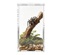 Kit Enclos Pour Araignée Sauteuse Avec Porte Magnétique Maison En Acrylique | Terrarium À Araignées Pour Grenouille Tortue Lézard Serpent Tortue Terrestre Dragon Barbu Reptile