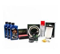 Kit Entretien Révision pour YAMAHA XP 530 TMAX de 2012 à 2016 - Huile E.LF MOTO 4 ROAD 10w40 3L