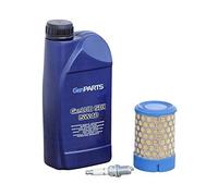 Kit entretien pour groupe électrogène RKS1 SDMO - 3499231910931
