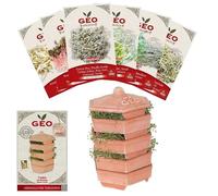 Kit Essentiel GEO - Germoir Terre Cuite Terradisiena + 6 Graines à germer bio | Haute germination ≥ 95% | Longue conservation | Vegan & Sans OGM | Poids total des graines : ≈ 300 g