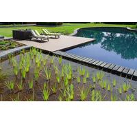 Kit filtration bassin naturel AQUA FORTE type II : Naturelle: 80 m3