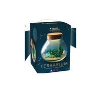 Kit Fimo Terrarium