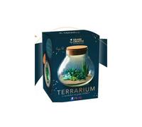 Fimo Kit Terrarium