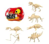Kit fossiles pour sciences STEM et éducatif