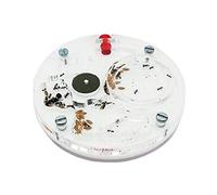 Kit fourmilière pédagogique 10x10 Mousse Ronde (avec Fourmis gratuites)