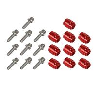 Kit freinage olive + aiguille Massi SRAM / AVID (x10) Rouge