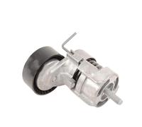 Kit galet enrouleur Tendeur De Courroie Adapté Pour BMW E46 E90 E91 E81 E87 E85 E92 E88 E82 X1 X3 Z4 120i 316i 318i 318Ci 320i 11287524267 Kit galet enrouleur