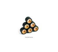 Kit Galets X6 Ø 20x12 - 9g