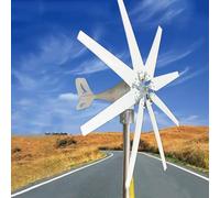 Kit générateur éolien 3000W/5000W/8000W, 8 pales avec contrôleur MPPT, éolienne à sustentation magnétique, pour l'alimentation électrique de sites touristiques et l'énergie éolienne offshore 24V-3000W