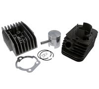Kit groupe thermique Polini pour SI - CBA - Eco - Bravo diamètre 43 broches 10