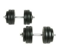 vidaXL Haltères 2x 90235 – Barres et disques à revêtement plastique Gymnase Sport