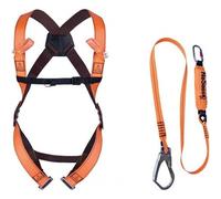 Kit harnais antichute avec absorbeur d'énergie S/M/L DELTA PLUS