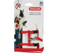 Kit Harnais et laisse casual pour rongeur Zolux Rouge M