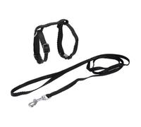 Love Story Harnais & Laisse pour chat Kit 120 cm Taille Petit Noir