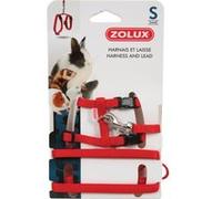 Kit Harnais-Laisse N.Ac. Casual Tailles Rouge