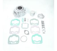 Kit Haut Moteur Ø60mm 154cc Polini Pour Moto Rotax 125 Moteur 122 146.0800 Neuf
