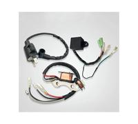 Kit Haute Tension, Bobine d'allumage, allumeur Compatible avec Le Moteur Essence RYF-950-R RYF950R 3 KW