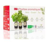 Kit Herbes Aromatiques Intérieur Bio - Menthe, Coriandre Thym à Faire Pousser - Idée Cadeau