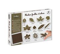 Kit herbier feuilles d'arbre - kit outil