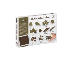 Kit herbier feuilles d'arbre - kit outil