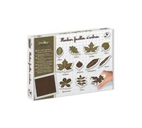 Kit herbier feuilles d'arbre - Kit outils tampons