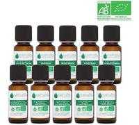 Kit Indispensables Bio 10 Huiles Essentielles - 100% Pure Et Naturelle - Hebbd, Ecocert - Tee Trea, Citronnelle, Eucalyptus Globulus, Lavande, Ravintsara, Basilic, Etc - 10x10 Ml Parfums - Voshuiles